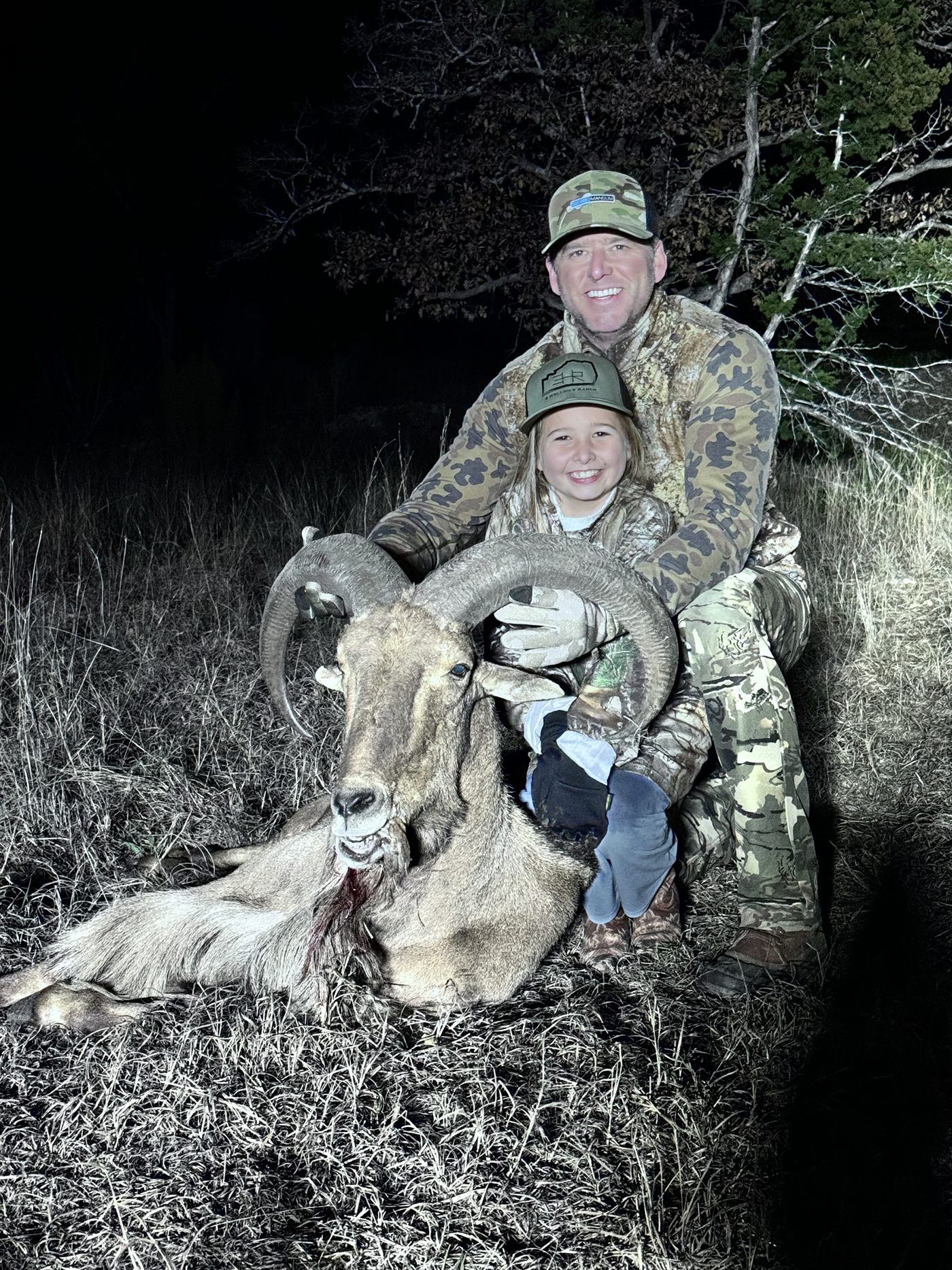 A trophy aoudad ram taken at 3 Hollows Ranch