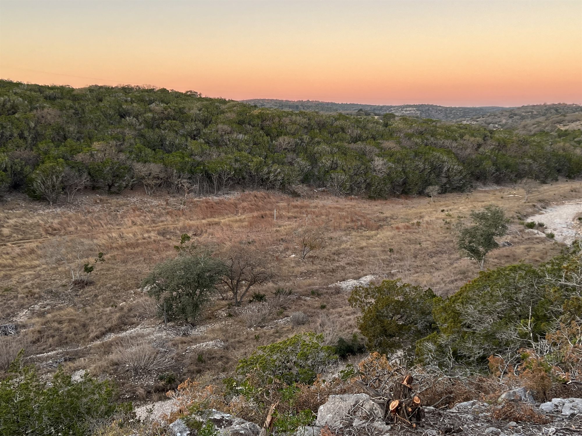 A hollow at dusk with a dry creek bed