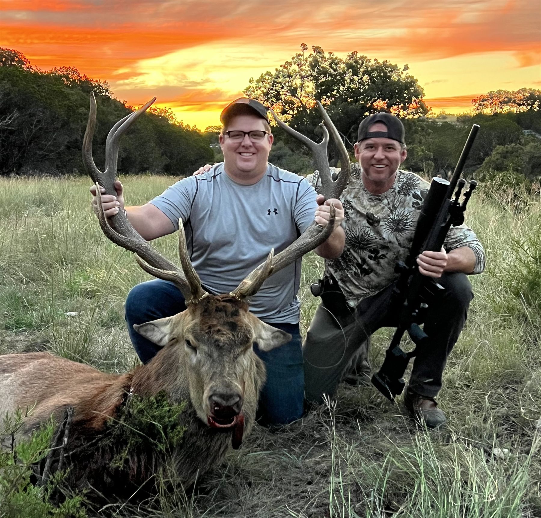 Trophy red deer at sunset